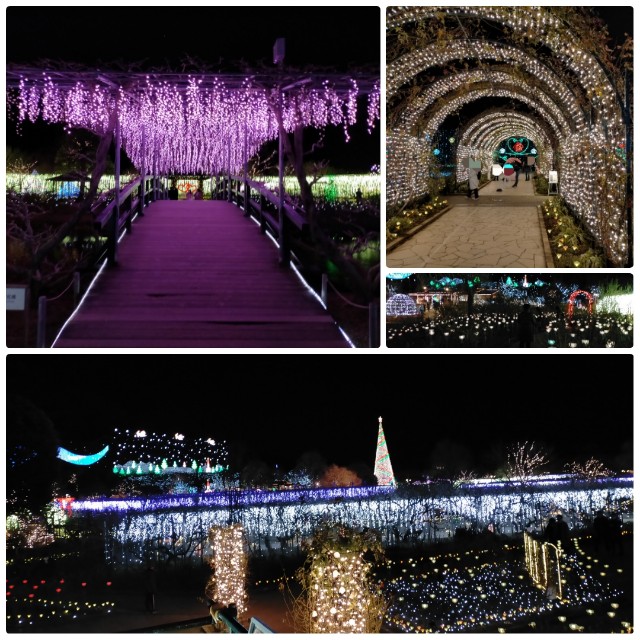 f:id:sMasa:20220115194645j:image f:id:sMasa:20220115194645j:image