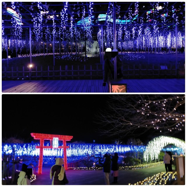 f:id:sMasa:20220115194952j:image f:id:sMasa:20220115194952j:image