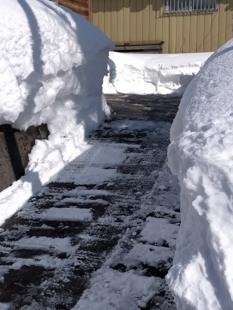 f:id:sMasa:20220120234526j:image f:id:sMasa:20220120234526j:image