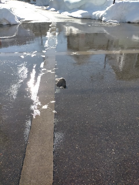 f:id:sMasa:20220120234644j:image f:id:sMasa:20220120234644j:image