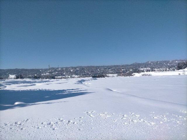 f:id:sMasa:20220122231605j:image f:id:sMasa:20220122231605j:image