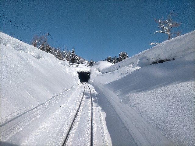 f:id:sMasa:20220122232145j:image f:id:sMasa:20220122232145j:image