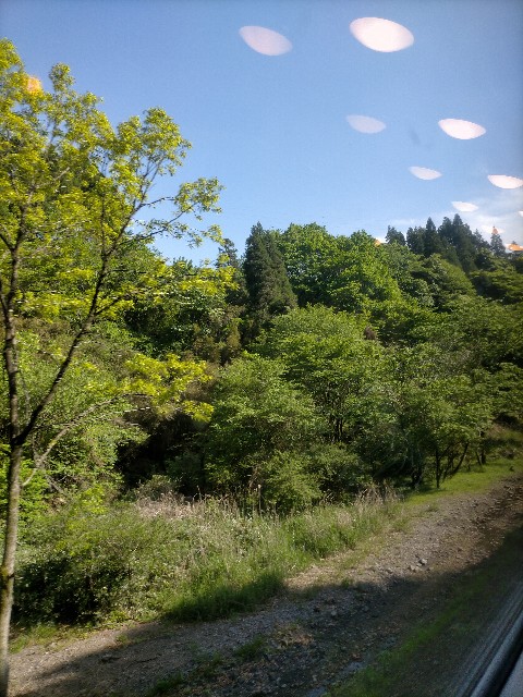 f:id:sMasa:20220528171031j:image