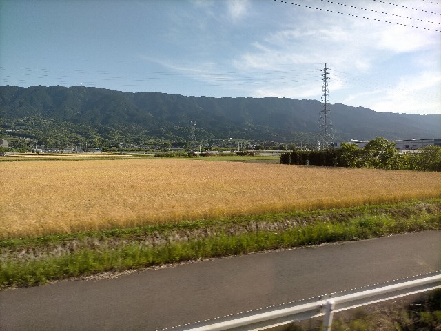 f:id:sMasa:20220604104732j:image f:id:sMasa:20220604104732j:image