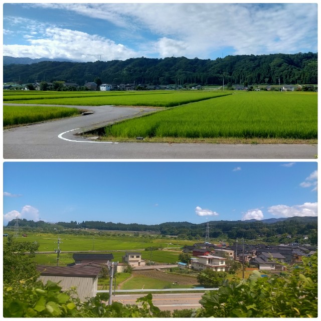 f:id:sMasa:20220818200320j:image