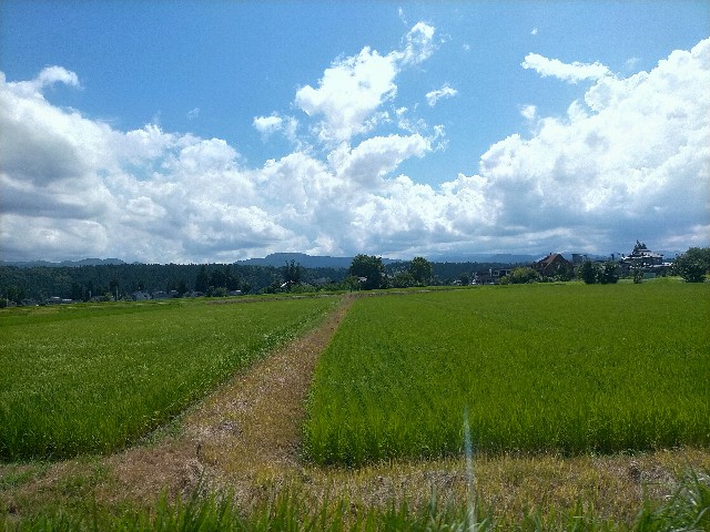 f:id:sMasa:20220821052810j:image