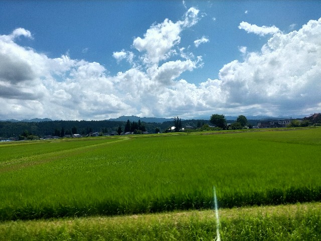 f:id:sMasa:20220823195747j:image