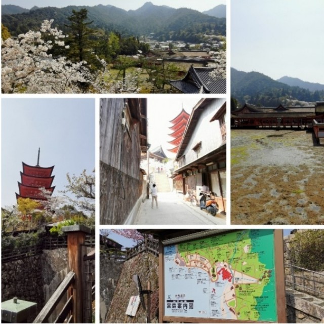 f:id:sMasa:20220923140027j:image