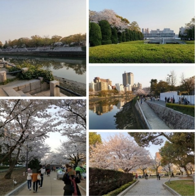 f:id:sMasa:20220923140545j:image