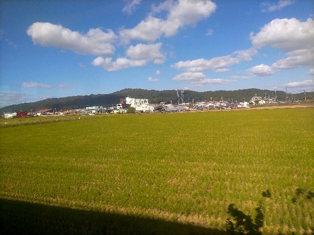 f:id:sMasa:20221030152557j:image