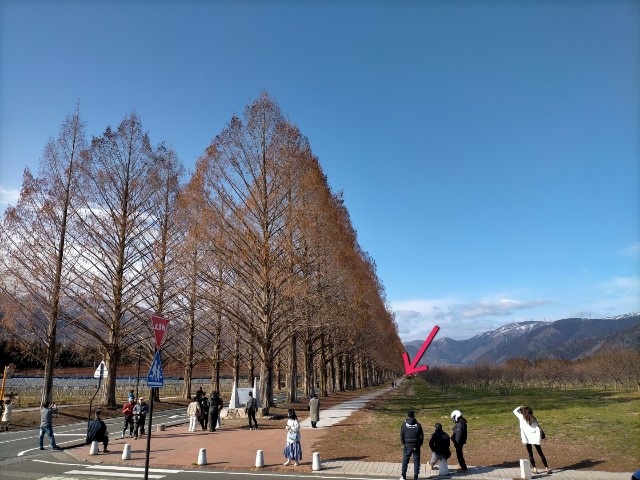 f:id:sMasa:20230312022449j:image