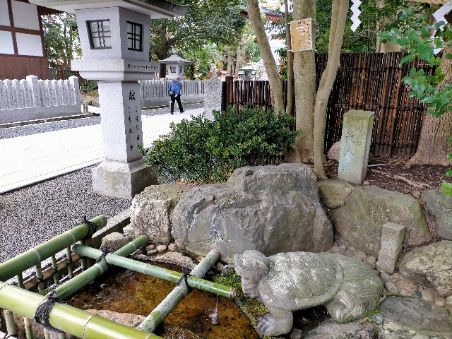 f:id:sMasa:20230312033108j:image