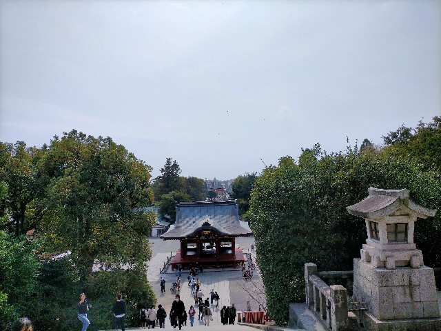 f:id:sMasa:20230321234416j:image