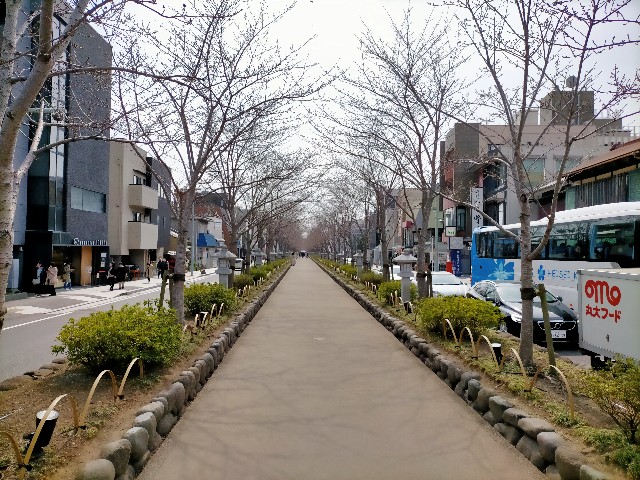f:id:sMasa:20230321234442j:image