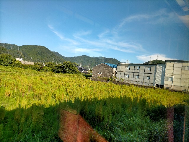 f:id:sMasa:20230806154656j:image