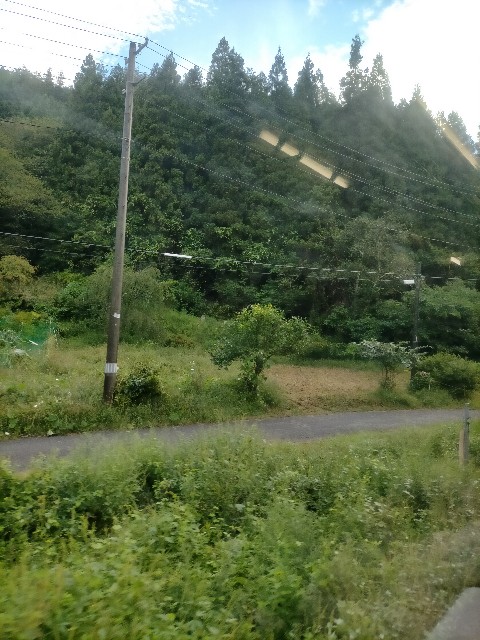 f:id:sMasa:20230909215609j:image f:id:sMasa:20230909215609j:image