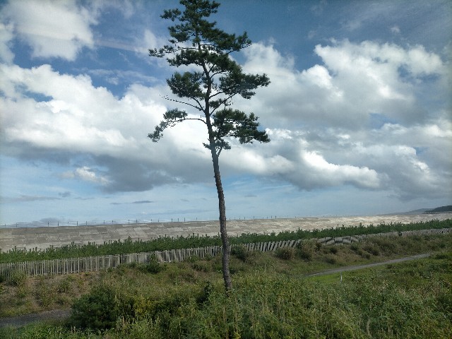 f:id:sMasa:20230909225518j:image f:id:sMasa:20230909225518j:image