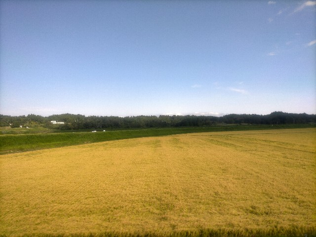 f:id:sMasa:20230910175007j:image