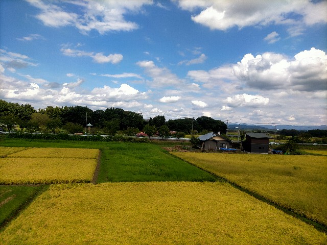 f:id:sMasa:20230910182051j:image