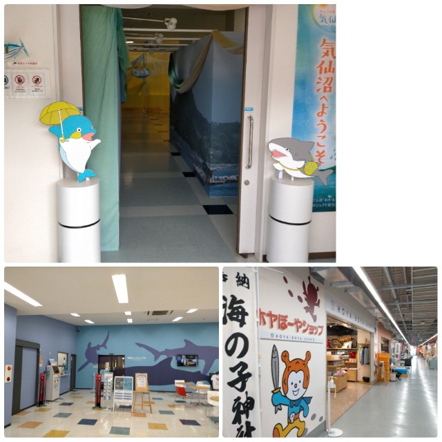 f:id:sMasa:20230918011710j:image