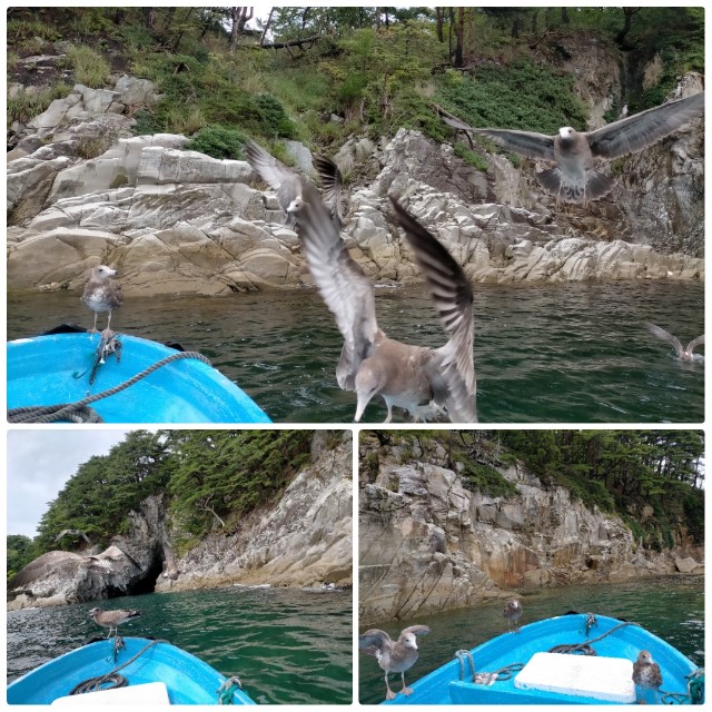 f:id:sMasa:20230930022046j:image f:id:sMasa:20230930022046j:image