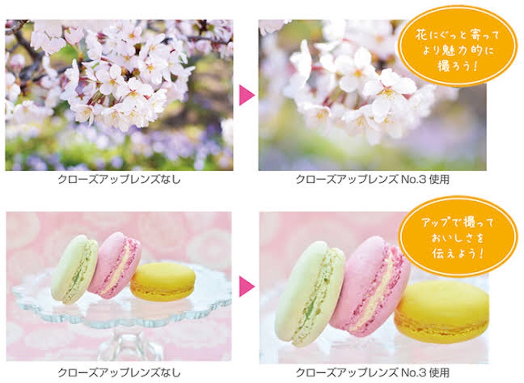 f:id:sRyoma:20230407161648j:image f:id:sRyoma:20230407161648j:image