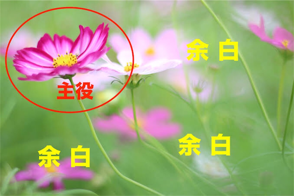 f:id:sRyoma:20230501152436j:image f:id:sRyoma:20230501152436j:image