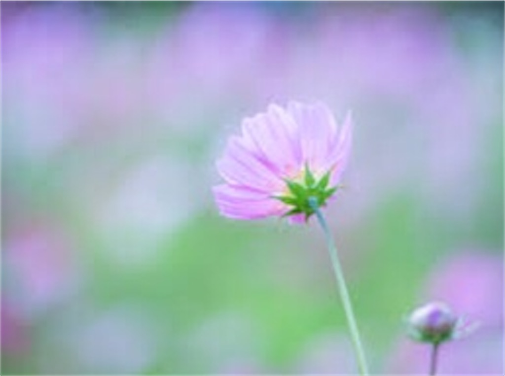 f:id:sRyoma:20230505122844j:image f:id:sRyoma:20230505122844j:image