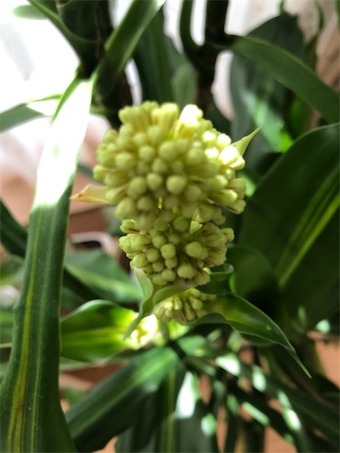 f:id:s_1000spring:20200325092400j:image f:id:s_1000spring:20200325092400j:image