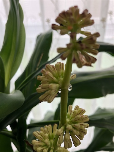f:id:s_1000spring:20200407132524j:image f:id:s_1000spring:20200407132524j:image