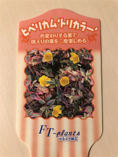 f:id:s_1000spring:20200515210259j:image