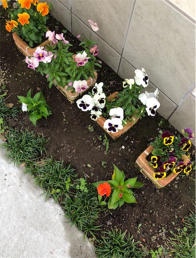 f:id:s_1000spring:20200529204016j:image