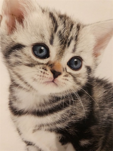 f:id:s_1000spring:20200619032123j:image