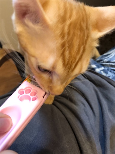 f:id:s_1000spring:20200912071334j:image f:id:s_1000spring:20200912071334j:image