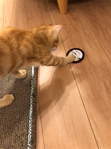 f:id:s_1000spring:20200915181253j:image f:id:s_1000spring:20200915181253j:image