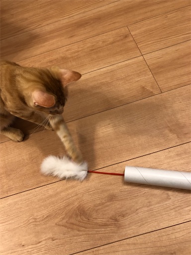 f:id:s_1000spring:20200915181347j:image f:id:s_1000spring:20200915181347j:image