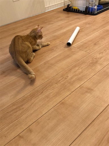 f:id:s_1000spring:20200915181358j:image f:id:s_1000spring:20200915181358j:image