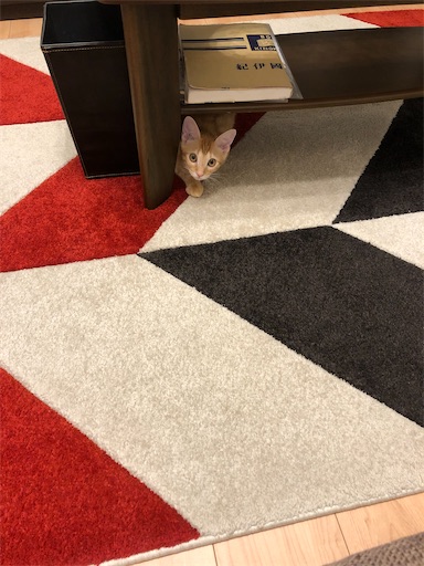 f:id:s_1000spring:20200915181549j:image f:id:s_1000spring:20200915181549j:image