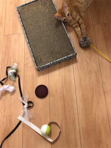 f:id:s_1000spring:20200915184636j:image f:id:s_1000spring:20200915184636j:image