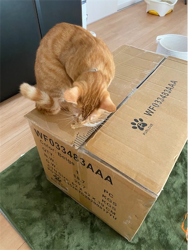 f:id:s_1000spring:20201222075722j:image f:id:s_1000spring:20201222075722j:image