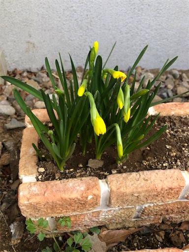 f:id:s_1000spring:20210311085309j:image f:id:s_1000spring:20210311085309j:image