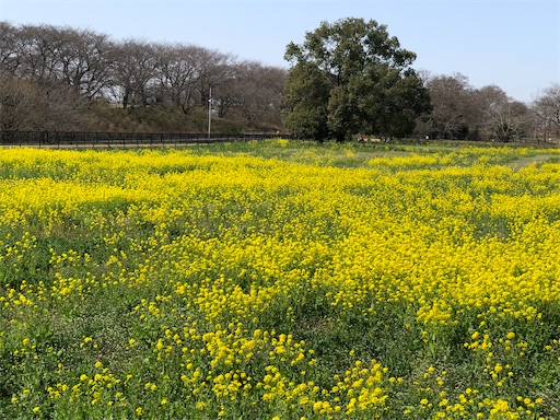 f:id:s_1000spring:20210318151643j:image f:id:s_1000spring:20210318151643j:image