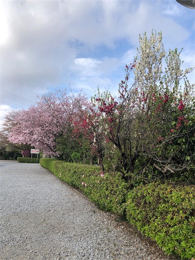 f:id:s_1000spring:20210404220900j:image