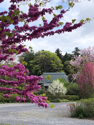 f:id:s_1000spring:20210404220906j:image