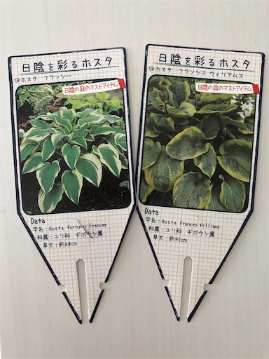 f:id:s_1000spring:20210419103711j:image