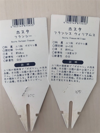 f:id:s_1000spring:20210419103718j:image