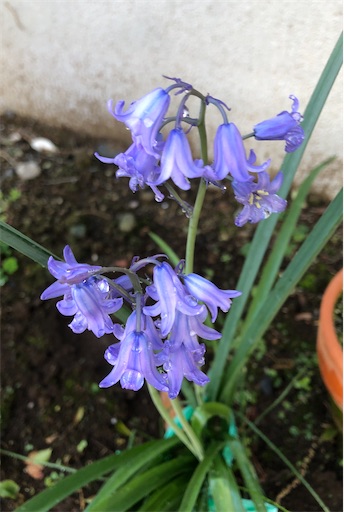 f:id:s_1000spring:20210421133840j:image