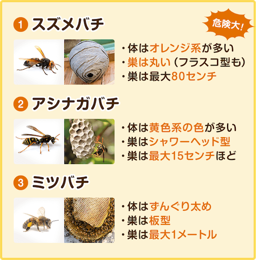 f:id:s_1000spring:20210504161038p:image
