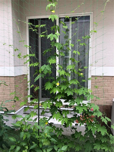 f:id:s_1000spring:20210709202236j:image