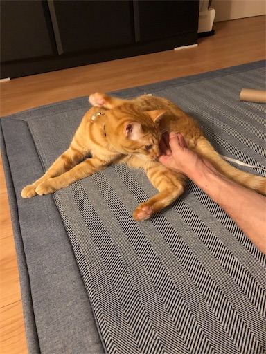 f:id:s_1000spring:20210713051808j:image f:id:s_1000spring:20210713051808j:image